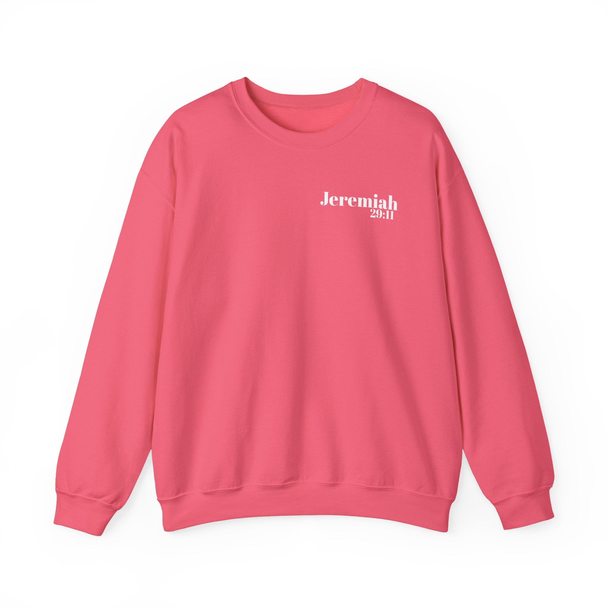 God's Promise- Jeremiah 29:11 Unisex Sweatshirt